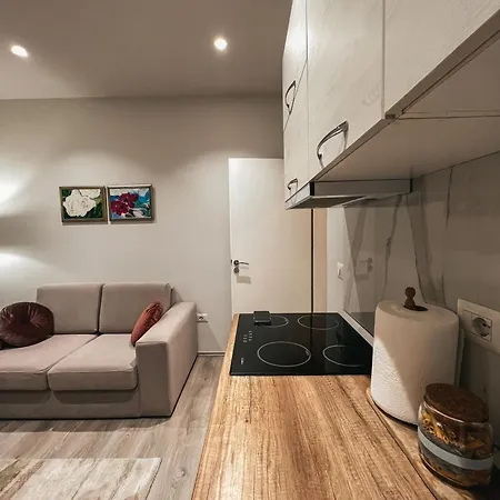 公寓 Dizdari 地拉那